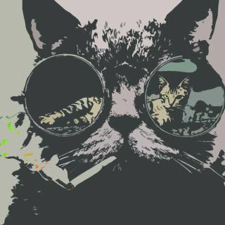 Cats with glasess computer wallpaper