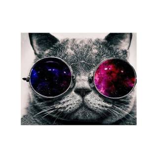Cats with glasess computer wallpaper