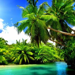 Simple PC summer wallpaper