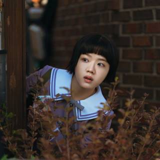 Absolute Value of Romance Kdrama wallpaper