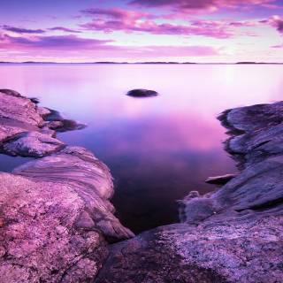 4k nature purple wallpaper