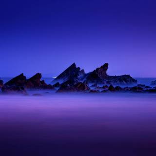 4k nature purple wallpaper