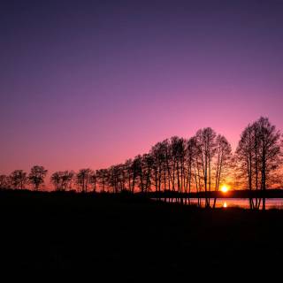 4k nature purple wallpaper