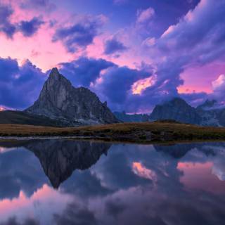 4k nature purple wallpaper