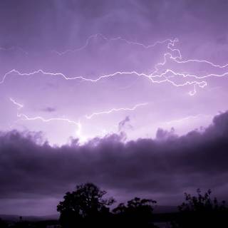 4k nature purple wallpaper