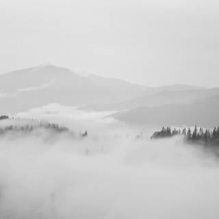 Clean 4k white wallpaper