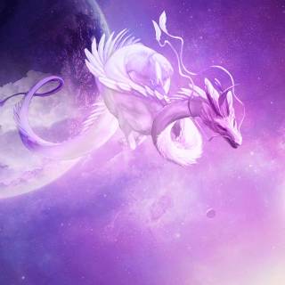 Dragon HD 4k wallpaper