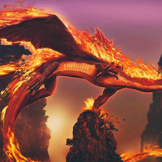 Dragon HD 4k wallpaper