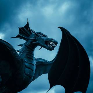 Dragon HD 4k wallpaper