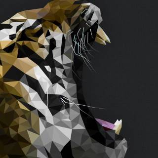 Animals desktop 4k wallpaper