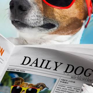 Newspaper phone wallpaper