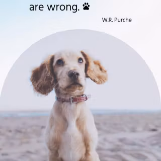 Pets phone wallpaper