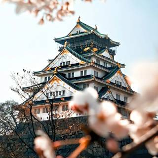 Osaka phone wallpaper