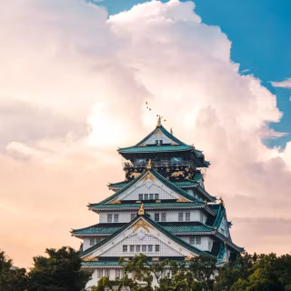 Osaka phone wallpaper