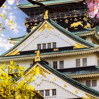 Osaka phone wallpaper