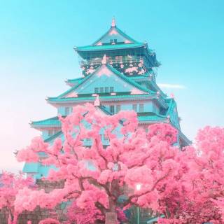 Osaka phone wallpaper
