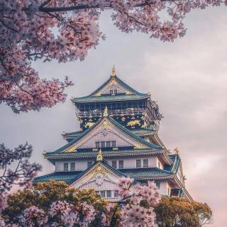 Osaka phone wallpaper