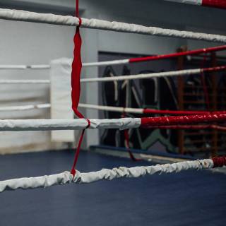 Boxing ring phone wallpaper