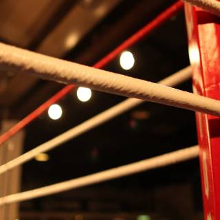 Boxing ring phone wallpaper