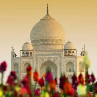 Taj Mahal desktop wallpaper