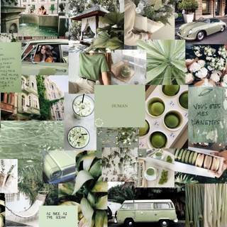 Light green aesthetic desktop wallpaper