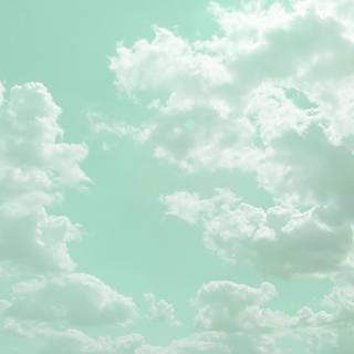 Light green aesthetic desktop wallpaper