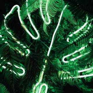 Light green aesthetic desktop wallpaper