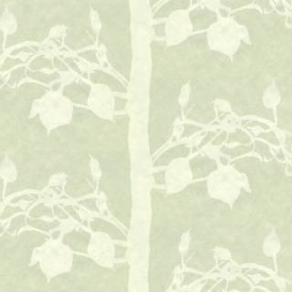 Light green aesthetic desktop wallpaper