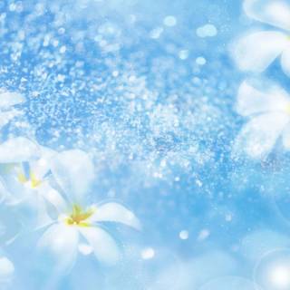 Sky blue desktop wallpaper