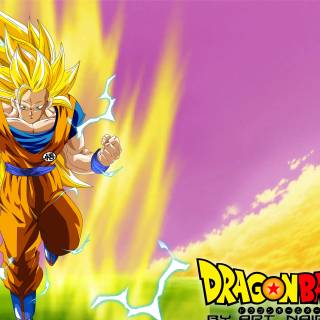 Son Goku desktop wallpaper