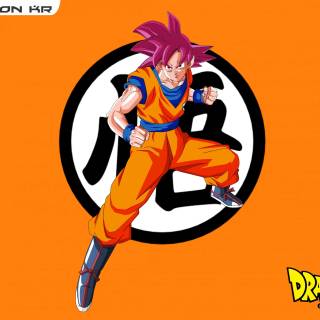Son Goku desktop wallpaper