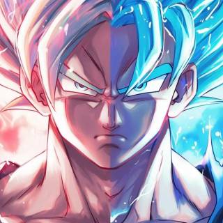 Son Goku desktop wallpaper
