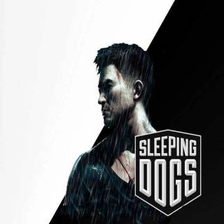 Sleeping Dogs mobile wallpaper
