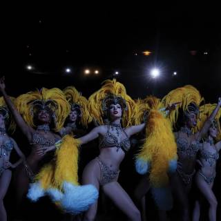 The Life of A Showgirl iPad wallpaper
