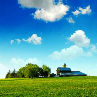 Agricultural lands wallpaper