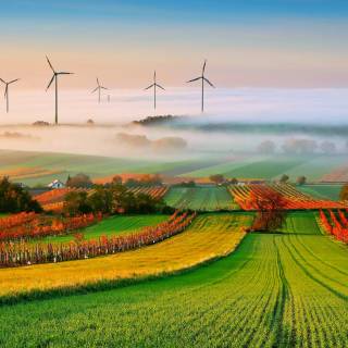 Agricultural lands wallpaper
