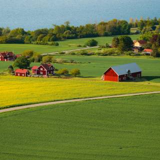 Agricultural lands wallpaper