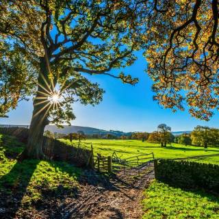Agricultural lands wallpaper
