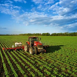 Agricultural lands wallpaper