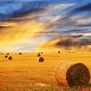 Agricultural lands wallpaper