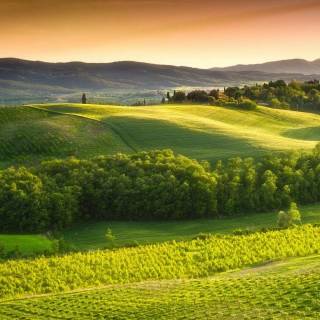 Agricultural lands wallpaper