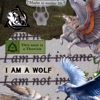 Otherkin wallpaper