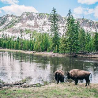 4k Yellowstone wallpaper