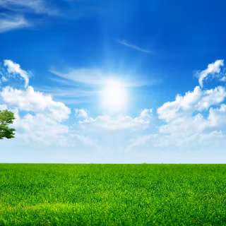 Green nature desktop 4k wallpaper