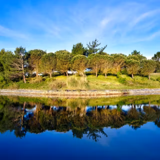 Green nature desktop 4k wallpaper