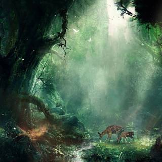 Green nature desktop 4k wallpaper