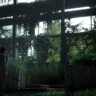 The Last of Us Part 2 Remastered 4k wallpaper