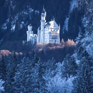 Phone castle wallpaper
