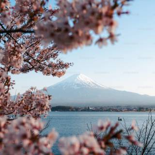 Japanese landscape phone wallpaper
