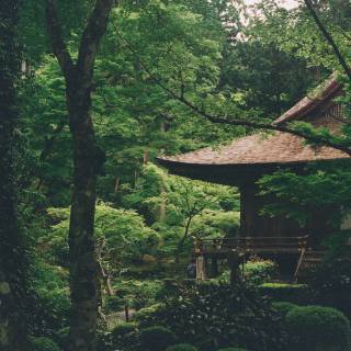 Japanese landscape phone wallpaper